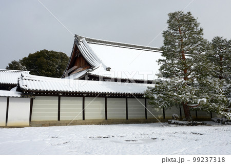 冬の東福寺 大方丈 京都市東山区 冬の東福寺 大方丈 京都市東山区 99237318