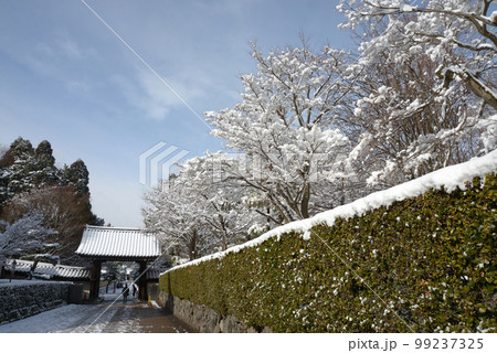 冬の東福寺 境内の積雪 京都市東山区 冬の東福寺 境内の積雪 京都市東山区 99237325