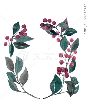 Red berries on a plucked branch with green leaves. Isolated illustration. Wreath of ripe berries in watercolor for your design 99237437