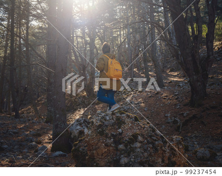 caucasian woman enjoys being in nature, caucasian woman enjoys being in nature, 99237454