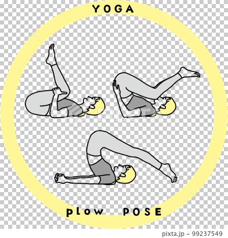 女人做瑜伽犁式抗衰老 女人做瑜伽犁式抗衰老 99237549