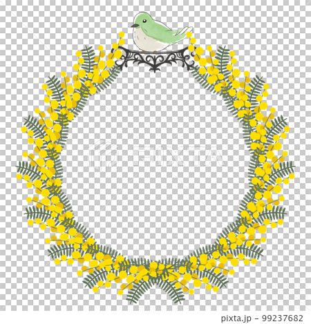 Circular frame of mimosa flowers where small birds stop 99237682