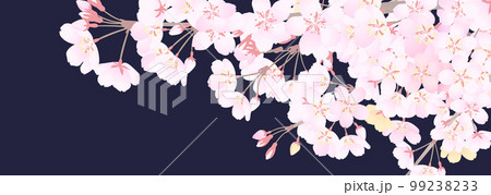 レトロな雰囲気の夜桜のイラスト レトロな雰囲気の夜桜のイラスト 99238233