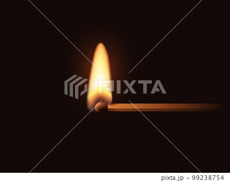 Match stick with flame, 3d realistic half burnt matchstick with bright hot flame Match stick with flame, 3d realistic half burnt matchstick with bright hot flame 99238754
