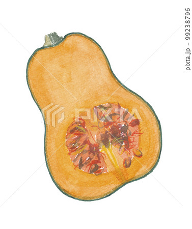 島かぼちゃ チンクワー 断面 島かぼちゃ チンクワー 断面 99238796