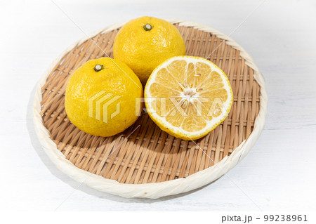 愛媛県産「はるか」(日向夏の実生(種から育つ事)から選抜育成された品種) 愛媛県産「はるか」(日向夏の実生(種から育つ事)から選抜育成された品種) 99238961