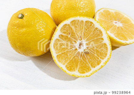 愛媛県産「はるか」（日向夏の実生（種から育つ事）から選抜育成された品種） 99238964