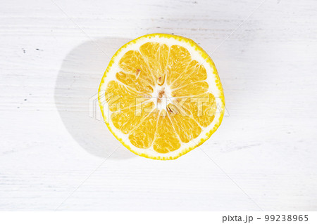 愛媛県産「はるか」（日向夏の実生（種から育つ事）から選抜育成された品種） 99238965