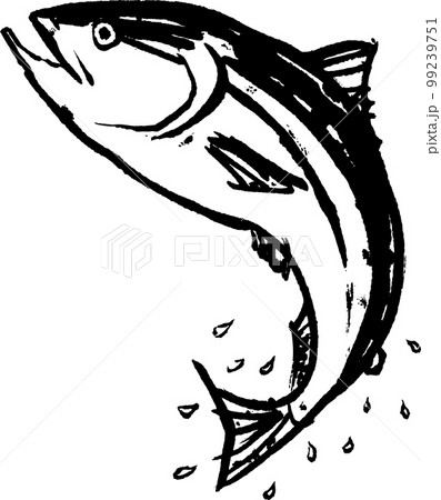 鮭　シャケ　さけ　水墨画　水彩画　手描き 99239751