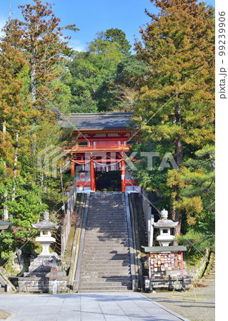京丹後市峰山町の金刀比羅神社 京丹後市峰山町の金刀比羅神社 99239906