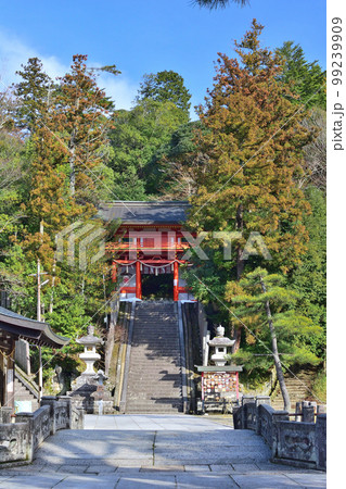 京丹後市峰山町の金刀比羅神社 京丹後市峰山町の金刀比羅神社 99239909