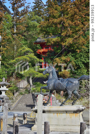 京丹後市峰山町の金刀比羅神社 京丹後市峰山町の金刀比羅神社 99239913