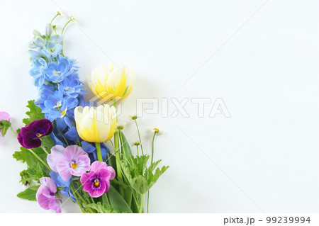 チューリップとデルフィニウムの花束 99239994