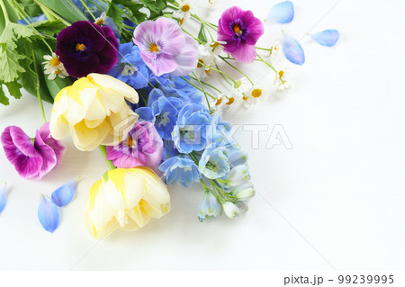 チューリップとデルフィニウムの花束 99239995
