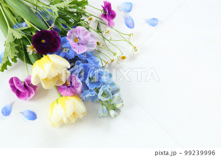 チューリップとデルフィニウムの花束 99239996