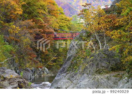 北海道 定山渓の「二見吊橋」と紅葉 北海道 定山渓の「二見吊橋」と紅葉 99240029