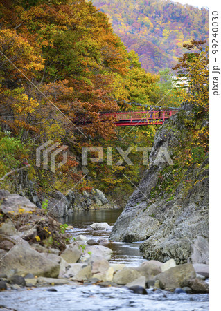 北海道 定山渓の「二見吊橋」と紅葉 北海道 定山渓の「二見吊橋」と紅葉 99240030
