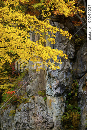 北海道 定山渓「かっぱ淵公園」の紅葉 99240037