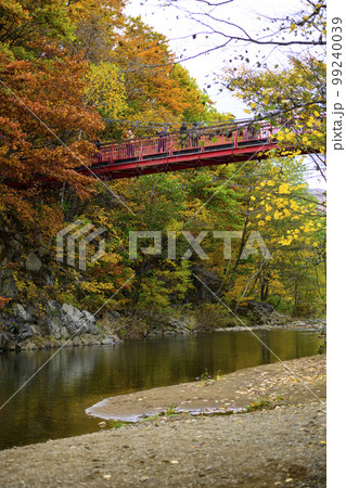 北海道 定山渓の「二見吊橋」と紅葉 99240039