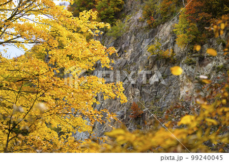 北海道 定山渓「かっぱ淵公園」の紅葉 99240045