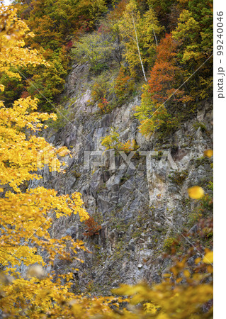 北海道 定山渓「かっぱ淵公園」の紅葉 北海道 定山渓「かっぱ淵公園」の紅葉 99240046