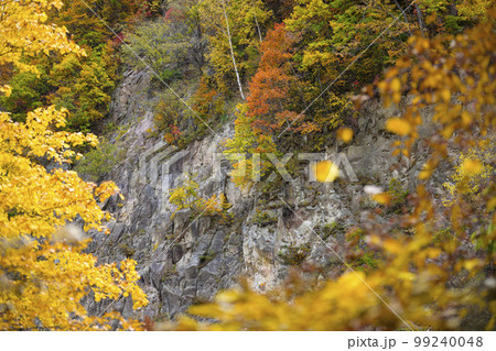 北海道 定山渓「かっぱ淵公園」の紅葉 北海道 定山渓「かっぱ淵公園」の紅葉 99240048