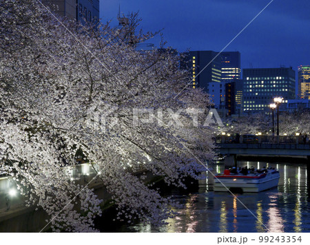 観光船で夜桜見物・大横川 99243354