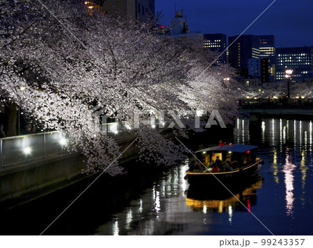 観光船で夜桜見物・大横川 99243357
