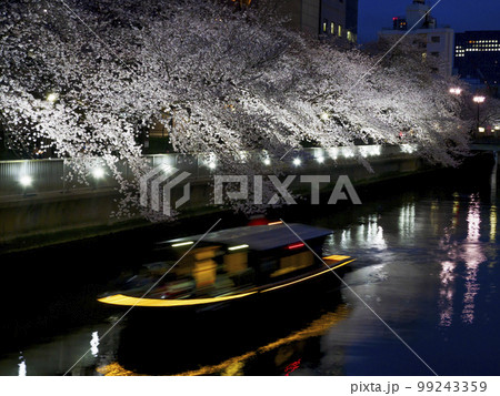 観光船で夜桜見物・大横川 99243359