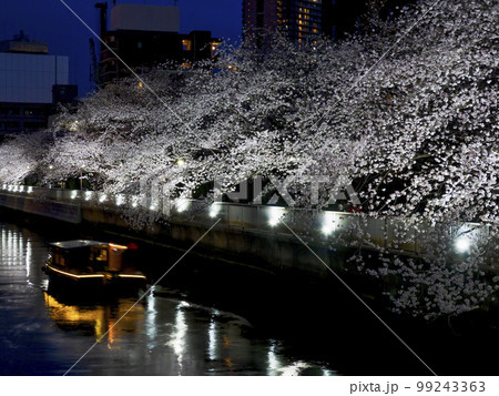 観光船で夜桜見物・大横川 99243363