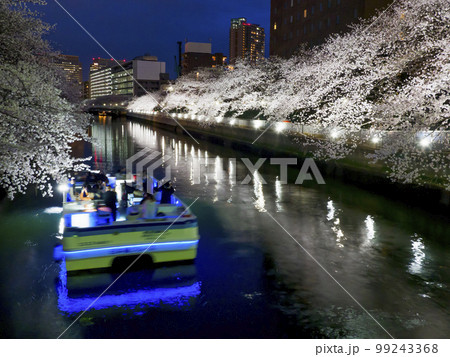 観光船で夜桜見物・大横川 99243368