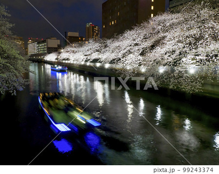 観光船で夜桜見物・大横川 99243374