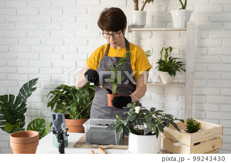 Relaxing home gardening. Smiling middle aged woman in black gloves with potted plant records gardening video blog in modern house - blogging and florist vlog influencer Relaxing home gardening. Smiling middle aged woman in black gloves with potted plant records gardening video blog in modern house - blogging and florist vlog influencer 99243430