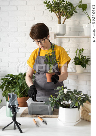 Relaxing home gardening. Smiling middle aged woman in black gloves with potted plant records gardening video blog in modern house - blogging and florist vlog influencer 99243431