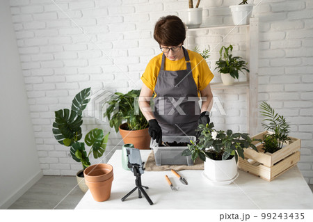 Relaxing home gardening. Smiling middle aged woman in black gloves with potted plant records gardening video blog in modern house - blogging and florist vlog influencer Relaxing home gardening. Smiling middle aged woman in black gloves with potted plant records gardening video blog in modern house - blogging and florist vlog influencer 99243435