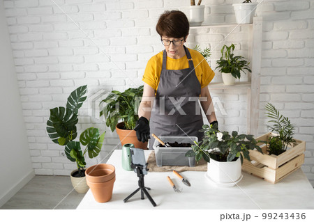 Relaxing home gardening. Smiling middle aged woman in black gloves with potted plant records gardening video blog in modern house - blogging and florist vlog influencer 99243436