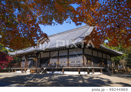 京都　仁和寺の金堂と紅葉 99244969