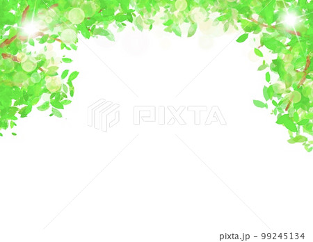 緑の葉と木の枝からキラキラと光る木漏れ日の背景素材 99245134