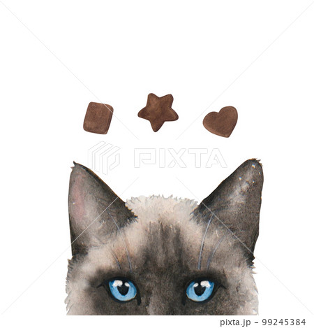 Watercolor cat banner. Hand drawn illustration. Isolated on white background. Watercolor cat banner. Hand drawn illustration. Isolated on white background. 99245384