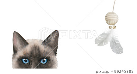 Watercolor cat banner. Hand drawn illustration, horizontal. Isolated on white background. Watercolor cat banner. Hand drawn illustration, horizontal. Isolated on white background. 99245385