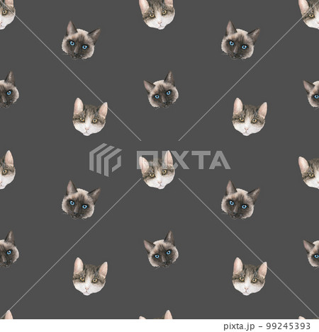 Seamless watercolor pattern with cats' heads on dark background 99245393