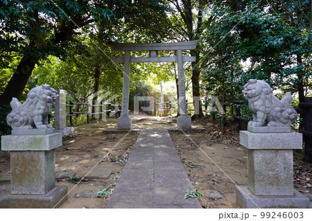 兜塚（兜塚古墳跡） 駒岡浅間神社 ～横浜市鶴見区～ 99246003