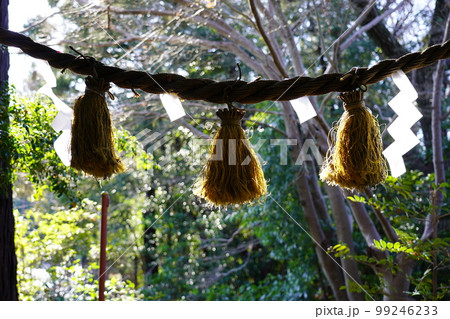 大山祇神社(山の神神社)注連縄 大山祇神社(山の神神社)注連縄 99246233