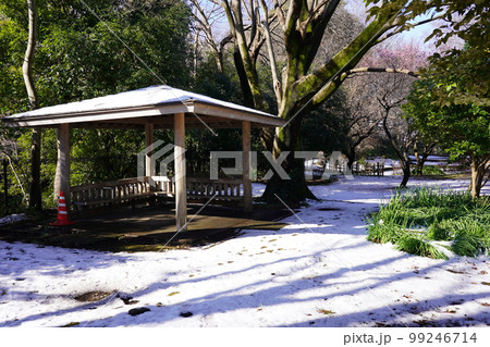 雪景色の四阿 水無月園付近（花しょうぶ園） ～相模原公園～ 99246714