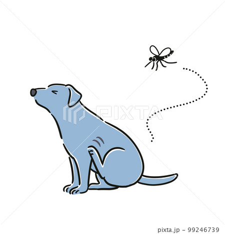 蚊に刺される犬のイラスト 99246739