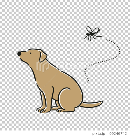 被蚊子咬的狗插畫 被蚊子咬的狗插畫 99246742