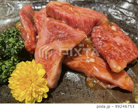 これから焼肉パーティー 99246753