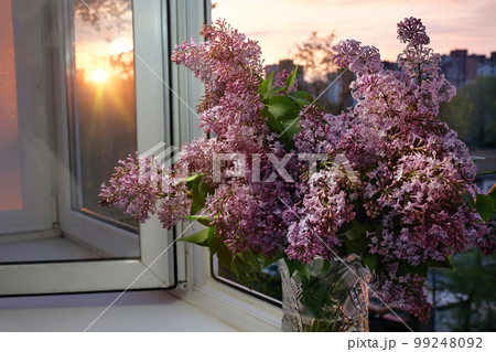 Spring bouquet of lilacs on the windowsill at sunset. Beautiful flowers Spring bouquet of lilacs on the windowsill at sunset. Beautiful flowers 99248092