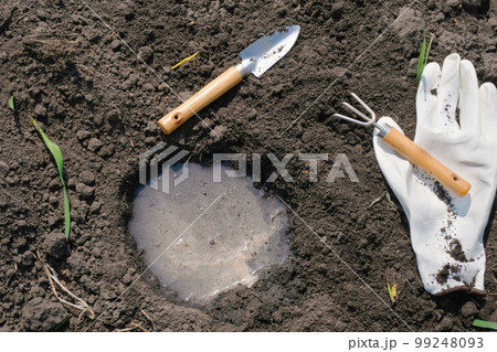 Gardening tools and plants in the garden. Planting flowers. Spring garden concept. Gardening tools and plants in the garden. Planting flowers. Spring garden concept. 99248093