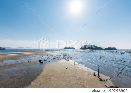 《愛知県》西尾市　干潮時の東幡豆海岸 99248905